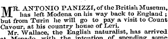 MR. ANTONIO PANIZZI, of the British Muse...