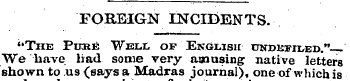 FOREIGN INCIDENTS. "Tiie Pure Well of En...