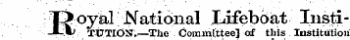 Tjoyal National Lifeboat Insti-J-.*) TUTIONV—The Committee] of this Institution