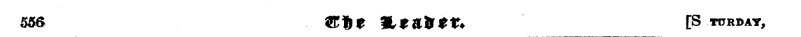 Untitled Article