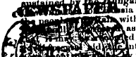 Untitled Article