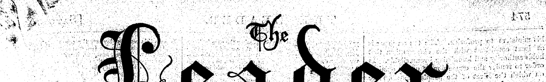 Untitled Article
