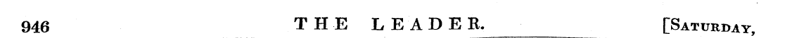 Untitled Article