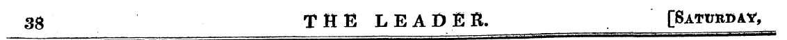 Untitled Article