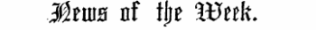 Mtm nf tire Vdnk.