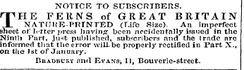 Untitled Ad
