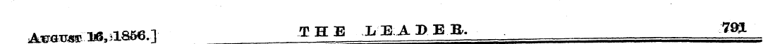 Untitled Article