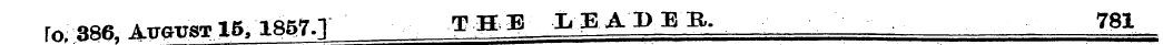 Untitled Article