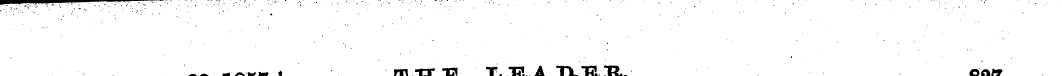 Untitled Article