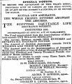 Untitled Ad