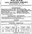 Untitled Ad