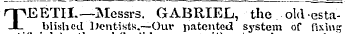 TEETH.—Messrs. GABRIEL, the old established Dentists.—Our patented system of fixing