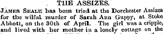 . THE ASSIZES. James Seaus lias been tri...