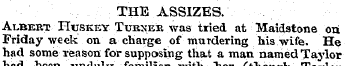 THE ASSIZES. Albert Huskey Turxek was tr...