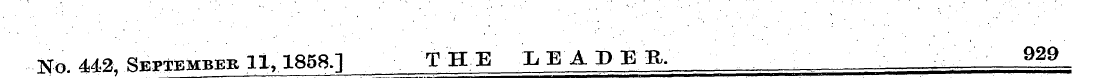 Untitled Article