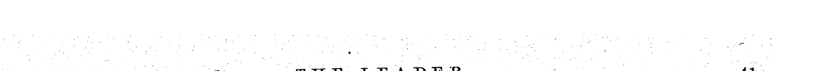 Untitled Article