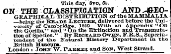Untitled Ad