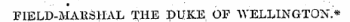FIELD-MA11SHAL THE DUKE OF WELLINGTON.*