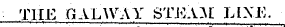 THE HALWAY STEAM LIXE.