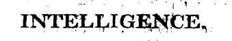 INTELI^IGESfbEv