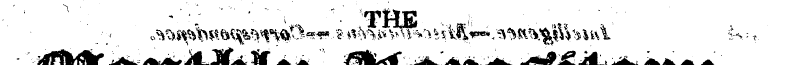 Untitled Article