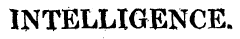 INTELLIGENCE*