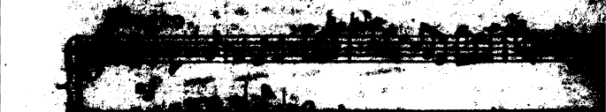 Untitled Article