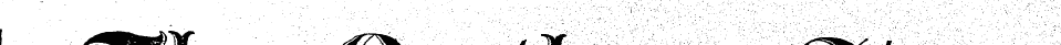 Untitled Article