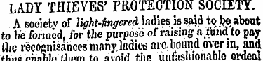 LADY THIEVES' PROTECTION SOCIETY. A soci...