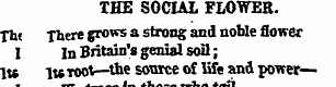 THE SOCIAL FLOWER. Th« There grows a str...