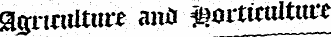 ggritumitt ana ftorttialtnw