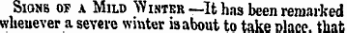 Sionb or a Mild Winter —It has been remarked whenever a severe winter is about to take nlace. that