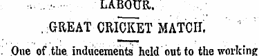 ¦:- ..-¦ LABOUR. , GREAT CRICKET MATCH.....