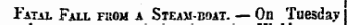 Fatal Fall fkom a Steam-boat. — On Tuesday