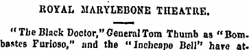 ROYAL MARYLEBONE THEATRE. "The Black Doc...
