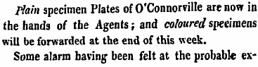 Plain specimen Plates of O'Connorville a...