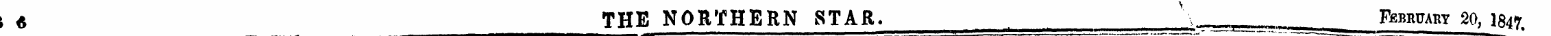 \ * THE NORTHERN STAR. \ , February 20, ...