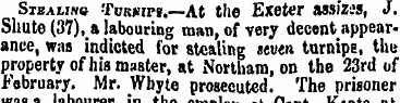 Stbawnu Tt/KWFs.—At the Exeter assizes, ...
