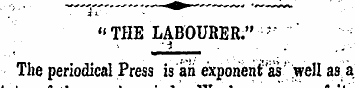 ' / ' -31 "THE LABOURER." " _j . . The p...