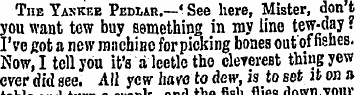 The Yankee Pem,mi .— * See here , Mister...