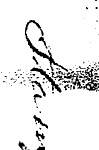 V-. ¦ ¦ :¦: P>^^. ¦-- -WTi^ S^i r \ \ v\...