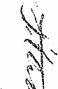 v ^ ! v ¦ Y\ \ "'."". X V. - f ' ¦ • ¦'V...