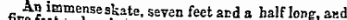 Ar, immense skate, seven feet and a half Ion?, and