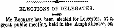 ELECTIONS OF DELEGATES. ¦BflBSl Mr Buckl...