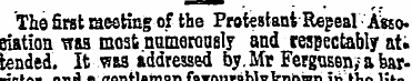 The Stat meeting of the Protestant Repea...