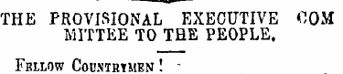 THE PROVISIONAL EXECUTIVE COM MITTEE TO ...