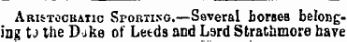 Aristocratic Sporting.—Several horaea belonging tJ the Dake of Leeds and Lard Strathmore have