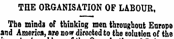 THE ORGANISATION OF LABOUR, The minda of...