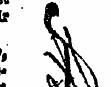 , * > , '' *j WP ^ ¦ lr ' # ' » * V«Vv t...