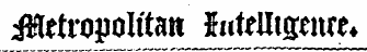 iHetropoIttait iuftUigenm